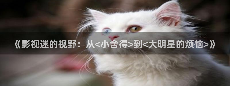 超碰在观看：《影视迷的视野：从<小舍得>到<大明星的烦恼>》