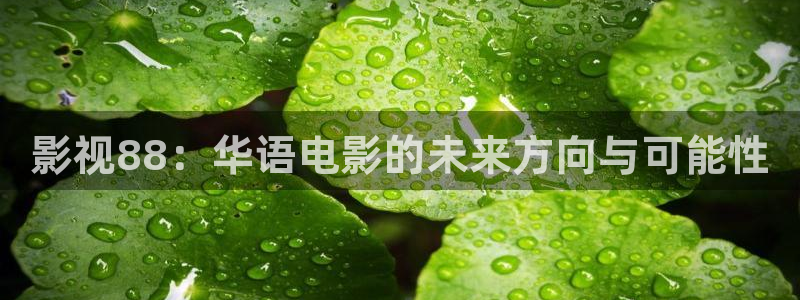 超碰一区：影视88：华语电影的未来方向与可能性