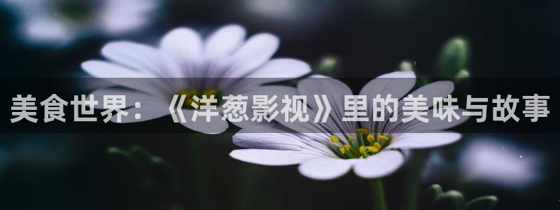 超碰在线观看综合：美食世界：《洋葱影视》里的美味与故事
