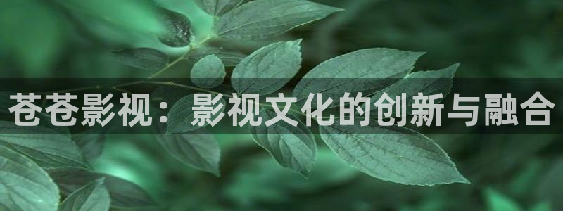 超碰免费公开在线：苍苍影视：影视文化的创新与融合