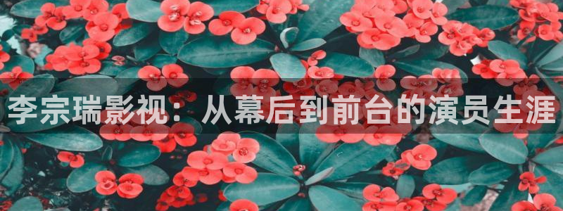 超碰成人在线97：李宗瑞影视：从幕后到前台的演员生涯