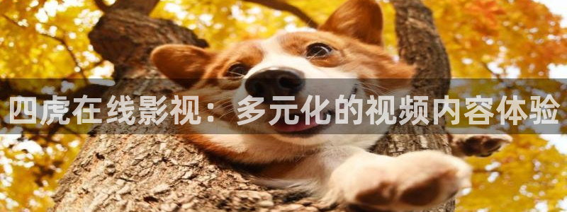中文在线超碰：四虎在线影视：多元化的视频内容体验