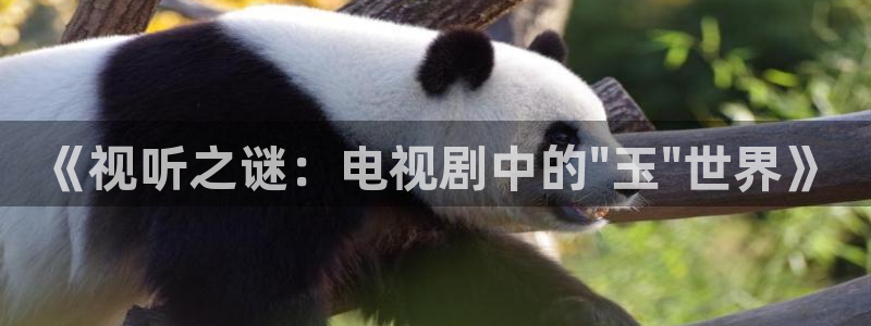 超碰人人干在线观看：《视听之谜：电视剧中的\