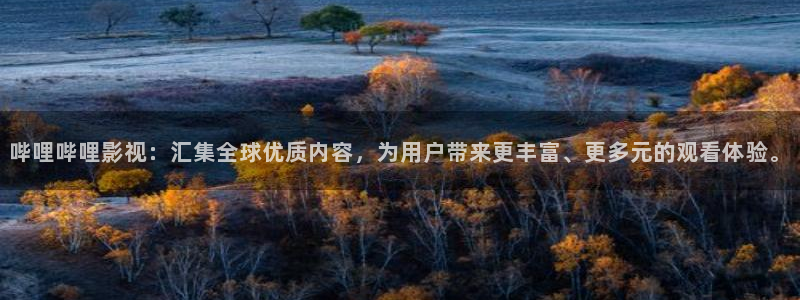超碰在线人人91：哔哩哔哩影视：汇集全球优质内容，为用户带来更丰富、更多元的观看体验。