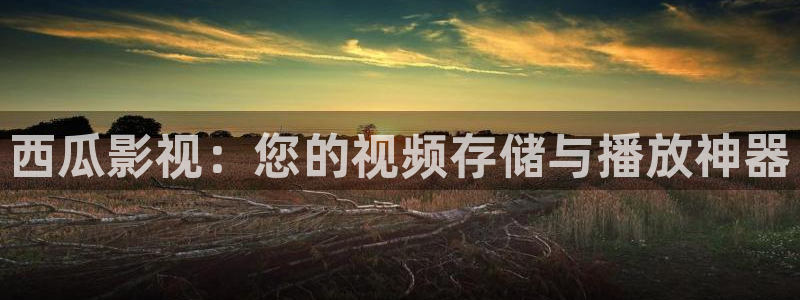 91超碰免费在线播放：西瓜影视：您的视频存储与播放神器