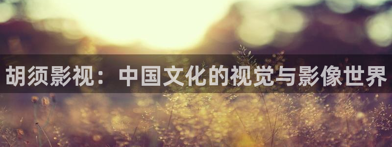 人人超碰人摸人爱：胡须影视：中国文化的视觉与影像世界